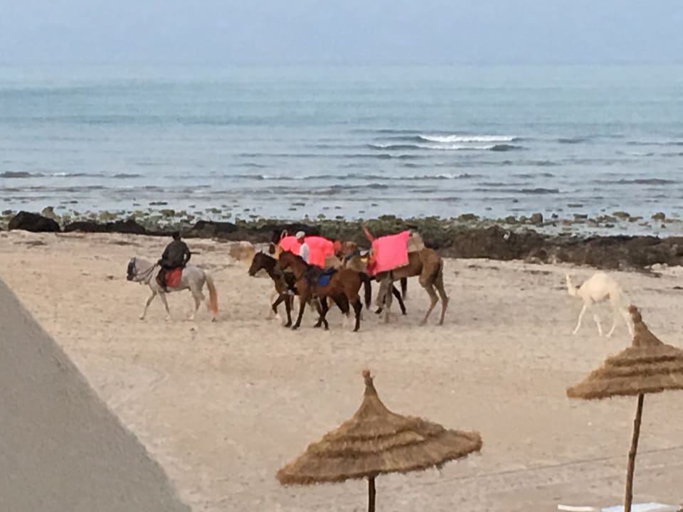 Strand ROBINSON DJERBA BAHIYA