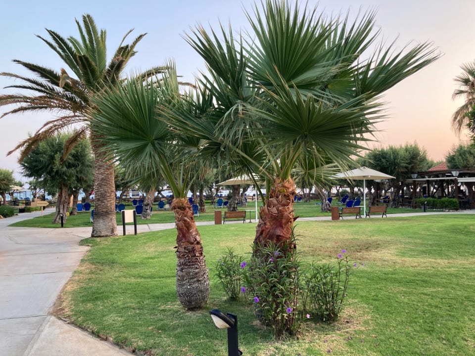 Gartenanlage Anissa Beach & Village