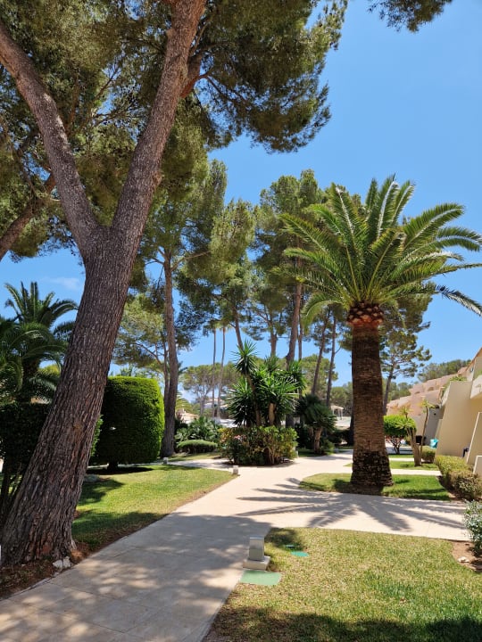 Gartenanlage Iberostar Waves Pinos Park