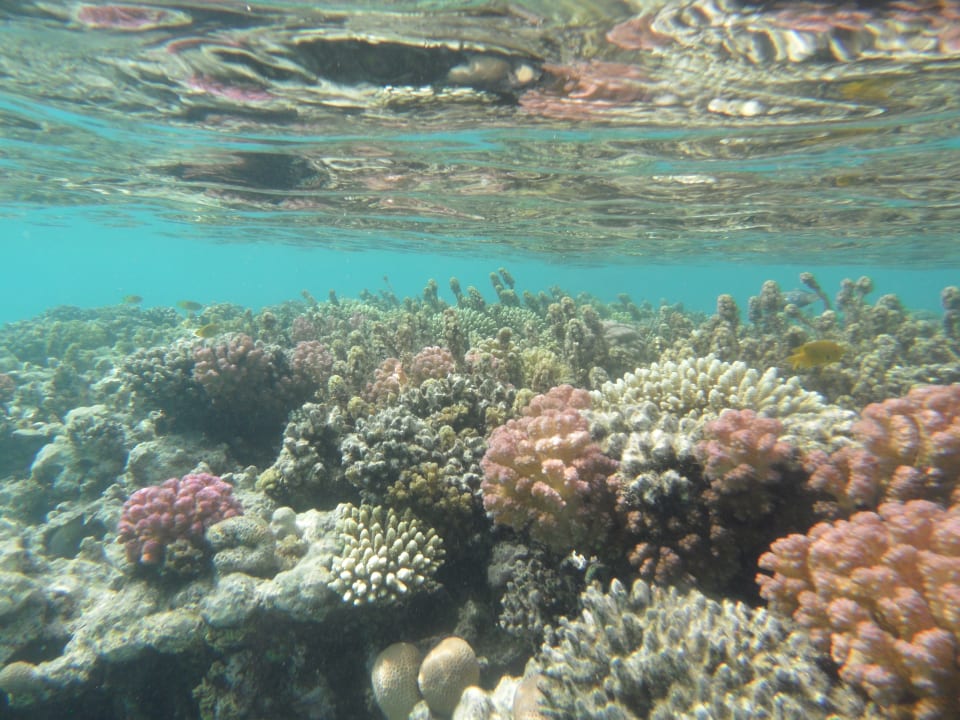 Sport & Freizeit Fort Arabesque Resort, Spa & Villas