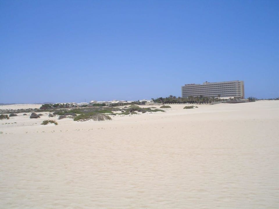 Hotel Hotel Riu Oliva Beach Resort