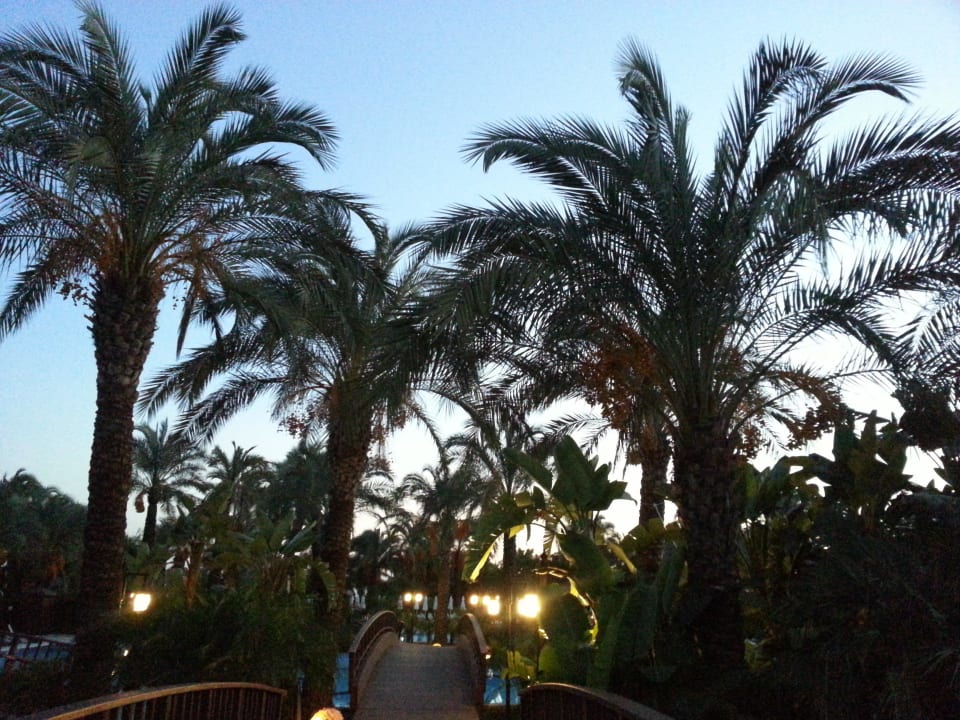 ...sooo schön!!!  Sunis Kumköy Beach Resort Hotel & Spa