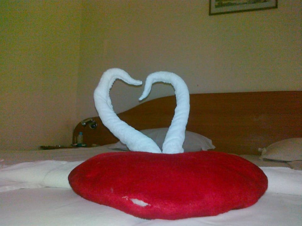 Nach Trinkgeld Flamingo Beach Hotel