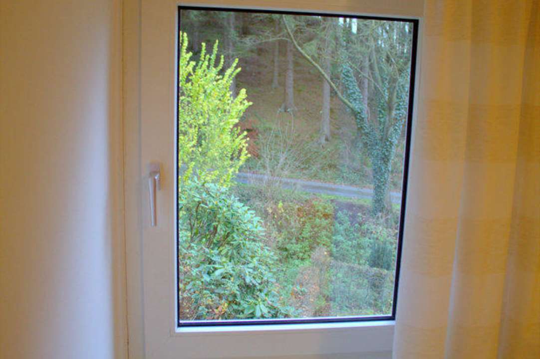 Blick aus dem Schlafzimmerfenster in den Wald  Ferienhaus Panoramablick