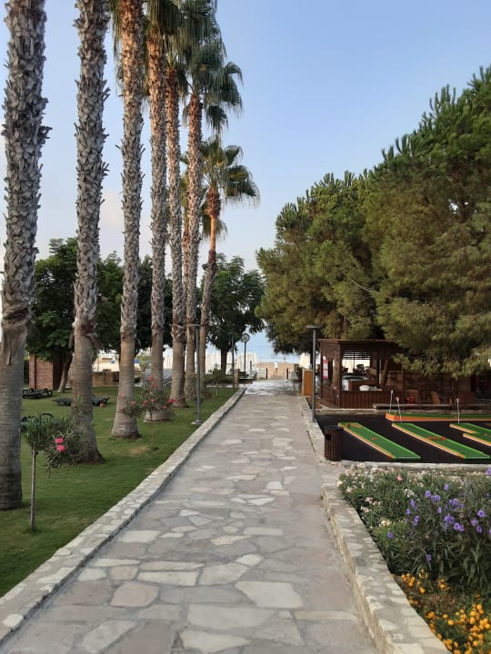 Strand Arum Barut Collection