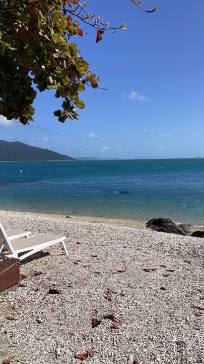 Strand Daydream Island Resort and Spa