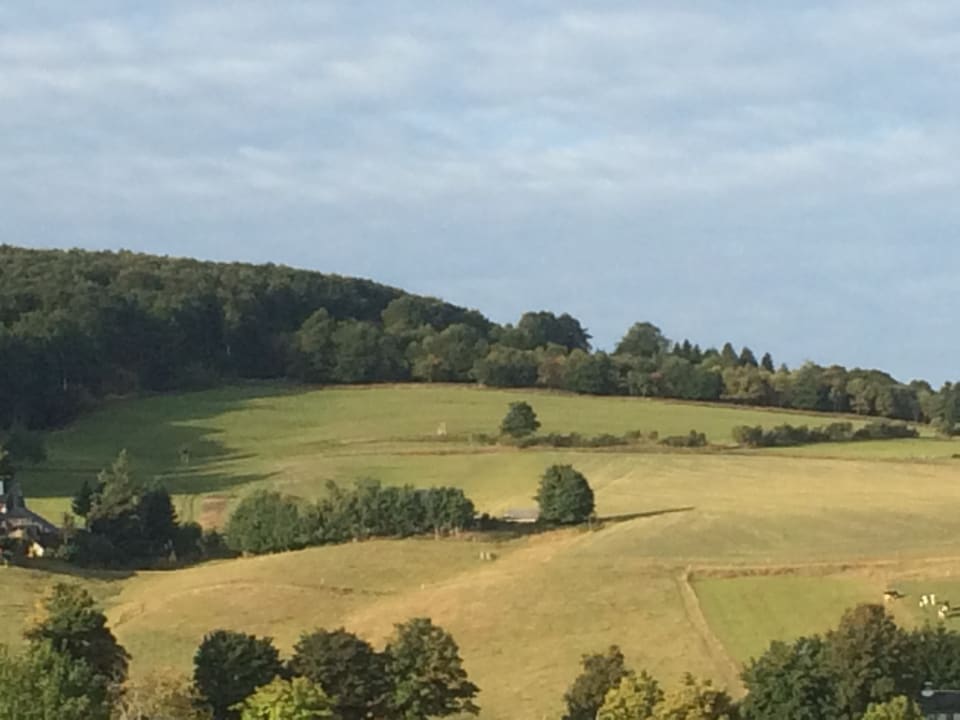Ausblick Hotel Landgasthof zu Heidelberg