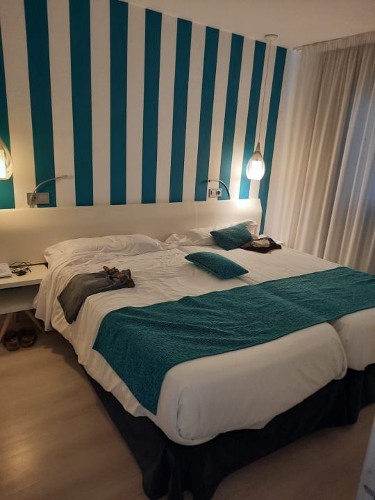 Zimmer Alcudia Garden Aparthotel