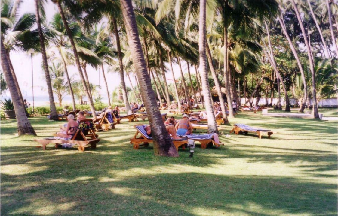 Anlage Thaala Bentota