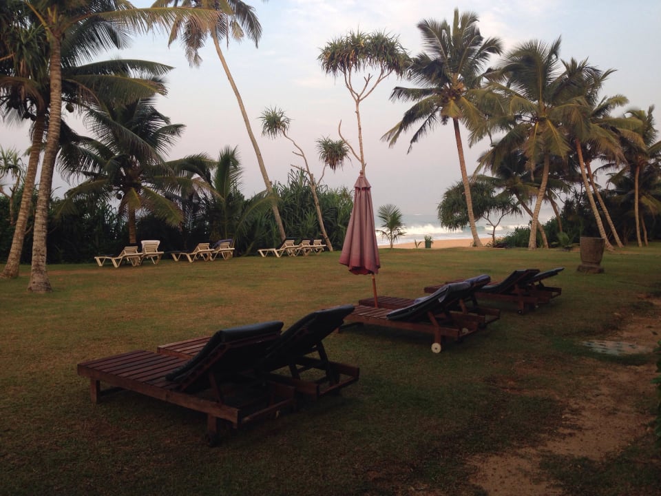 Liegewiese  Hotel Koggala Beach