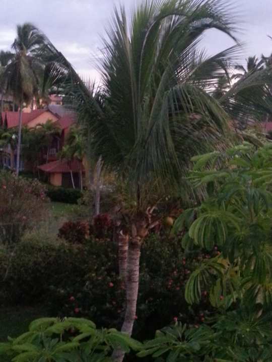 Zimmerausblick vom Balkon Punta Cana Princess All Suites Resort & Spa