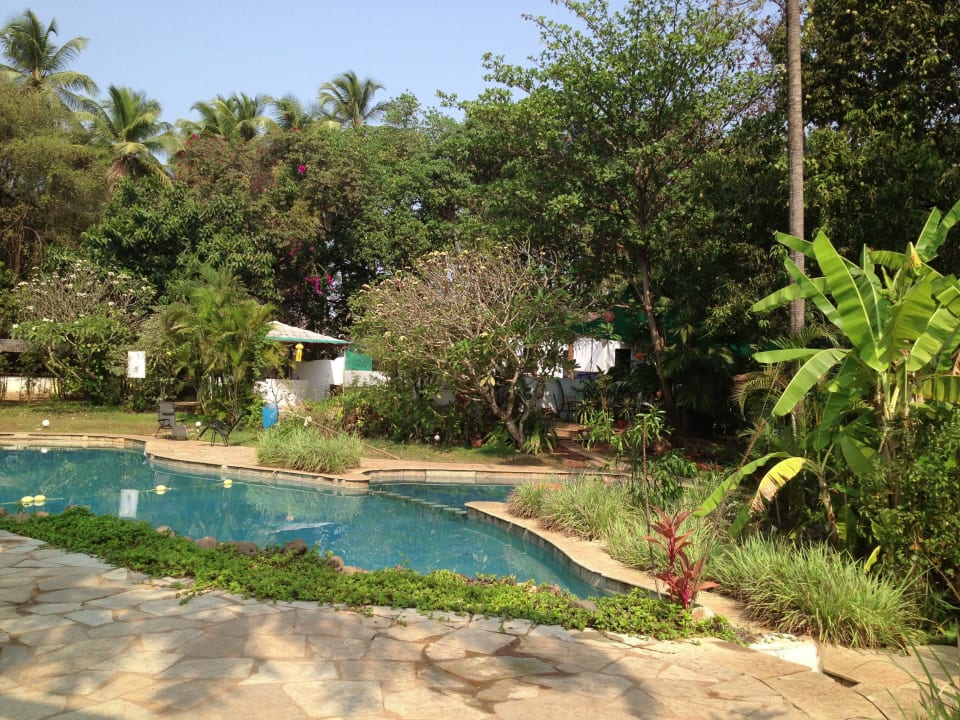 Pool Hotel Laguna Anjuna