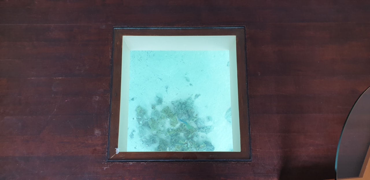 Zimmer Summer Island Maldives