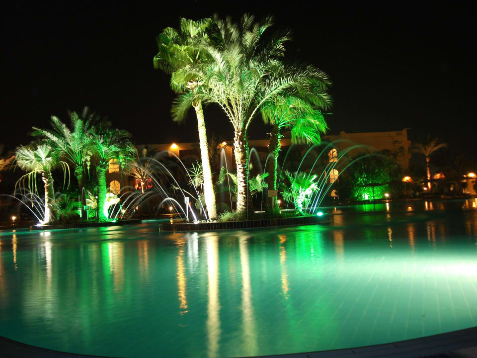 Pool bei Nacht Desert Rose