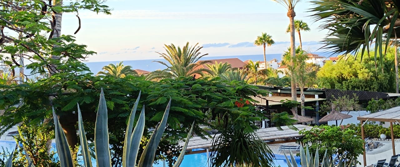 Ausblick allsun App.-Hotel Esquinzo Beach