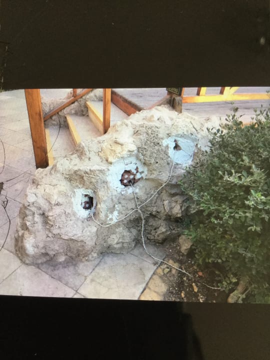 Gartenanlage Ghazala Gardens