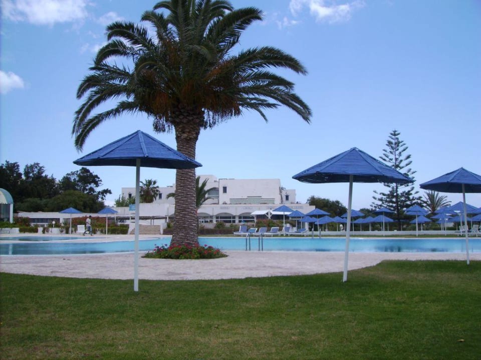 Pool AQI Venus Beach