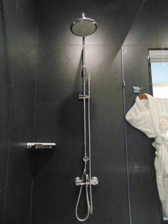 Zimmer Wyndham Garden Tashkent