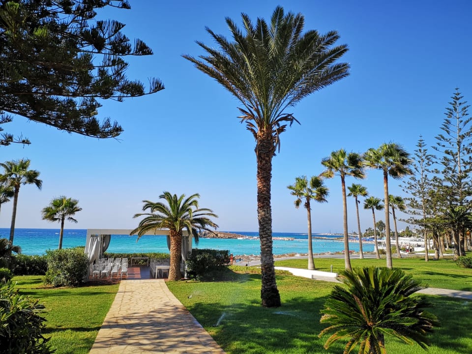 Gartenanlage Hotel Nissi Beach Resort