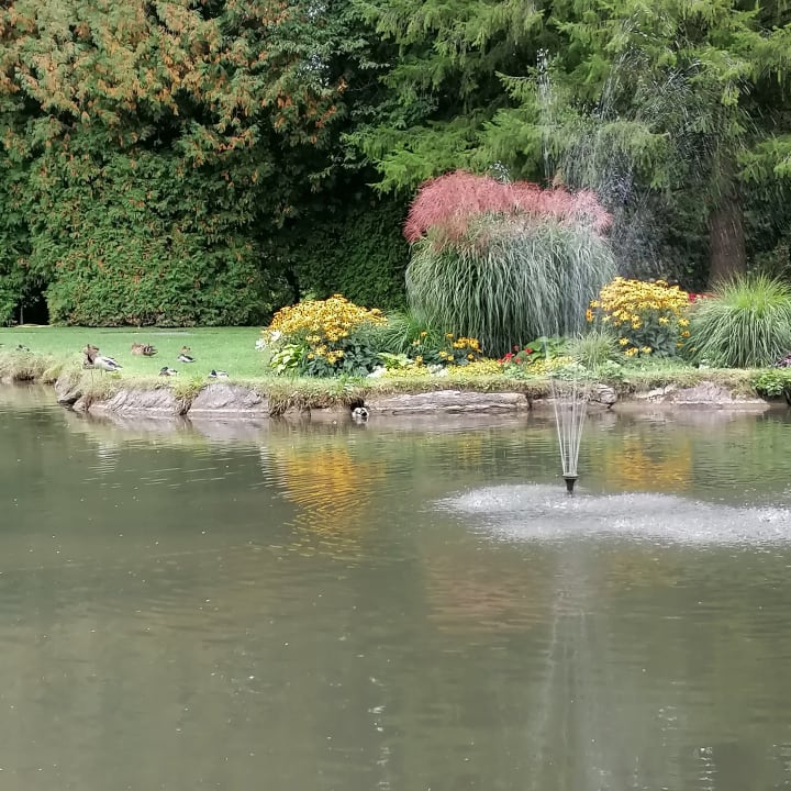 Gartenanlage Vivea Hotel Bad Schönau - Zur Quelle