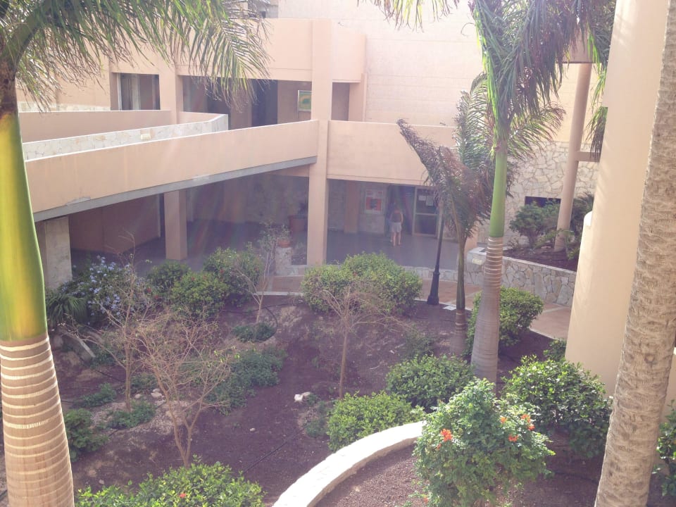 Garten vor dem Restaurant SBH Hotel Taro Beach