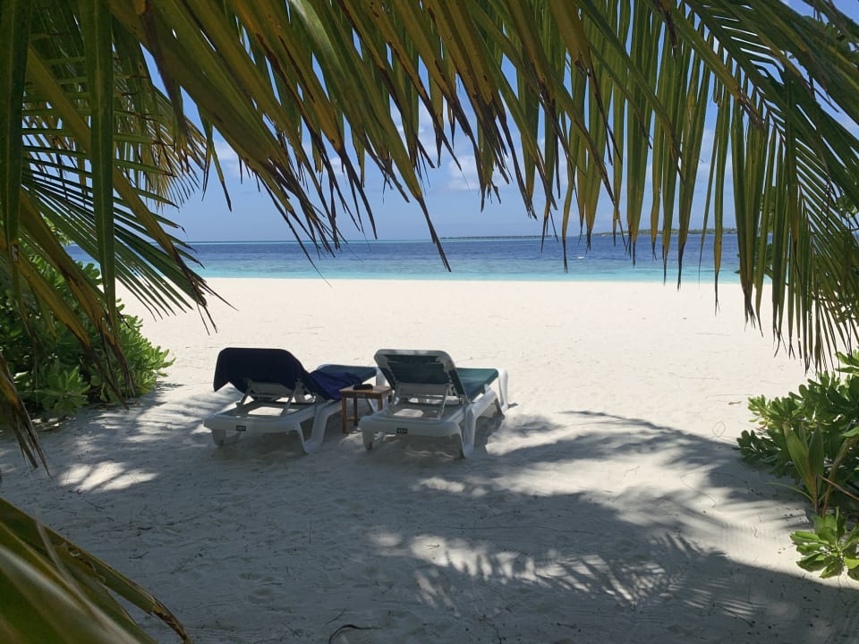 Ausblick Vilamendhoo Island Resort & Spa