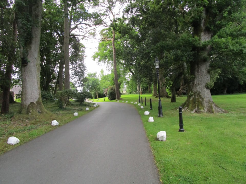 Hotel Lough Rynn Castle Hotel Lough Rynn Castle
