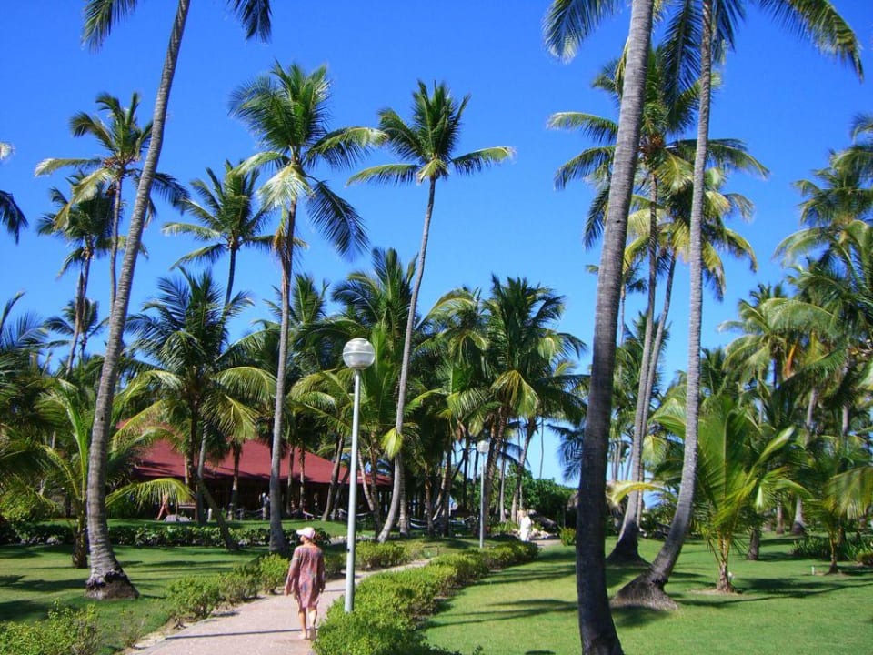 Gartenanlage Grand Palladium Select Bávaro Resort & Spa