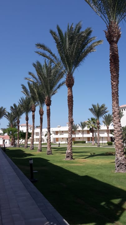 Sonstiges Pickalbatros Dana Beach Resort - Hurghada
