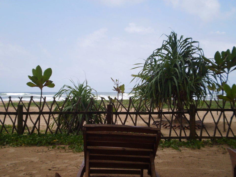 Blick von der Strandliege Hotel Club Bentota