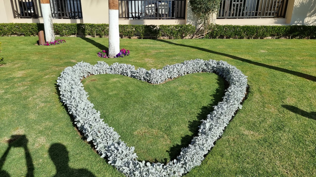 Gartenanlage Steigenberger Aqua Magic