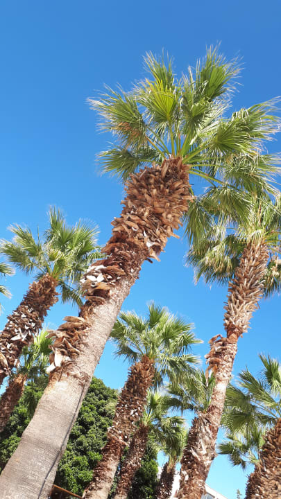 Pool Kresten Palace Hotel