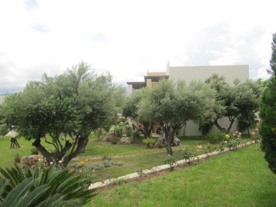 Ogród Hotel Gaia Palace