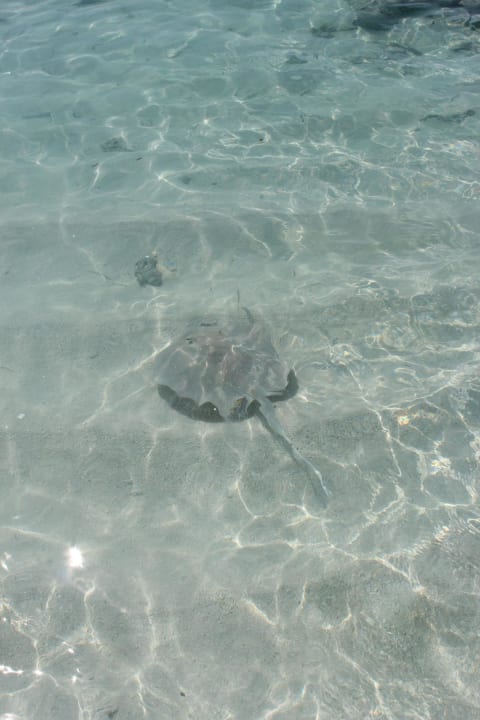 Rochen Meeru Maldives Resort Island