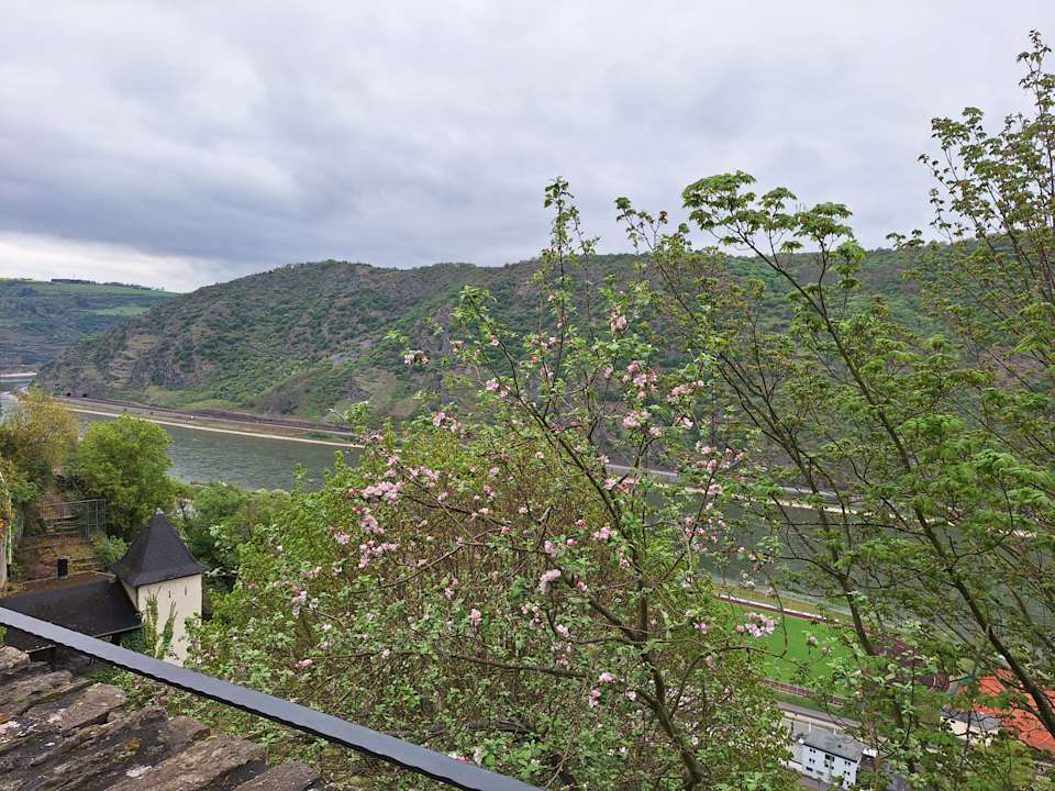 Ausblick Rheintal-Jugendherberge Oberwesel