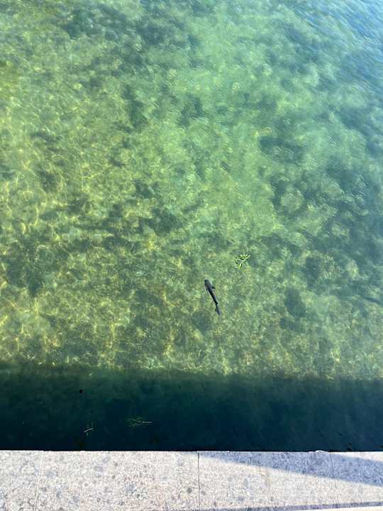 Gartenanlage Pickalbatros Dana Beach Resort - Hurghada