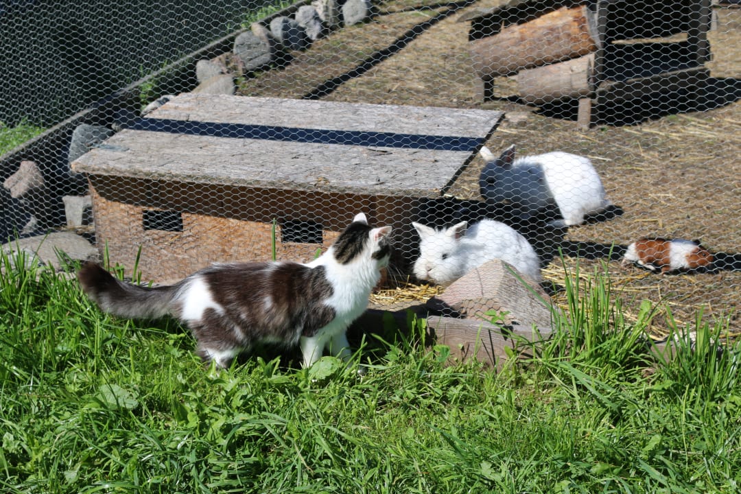 Sonstiges Hof Riederhäusl