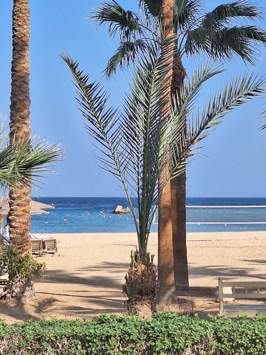 Strand Brayka Bay Resort