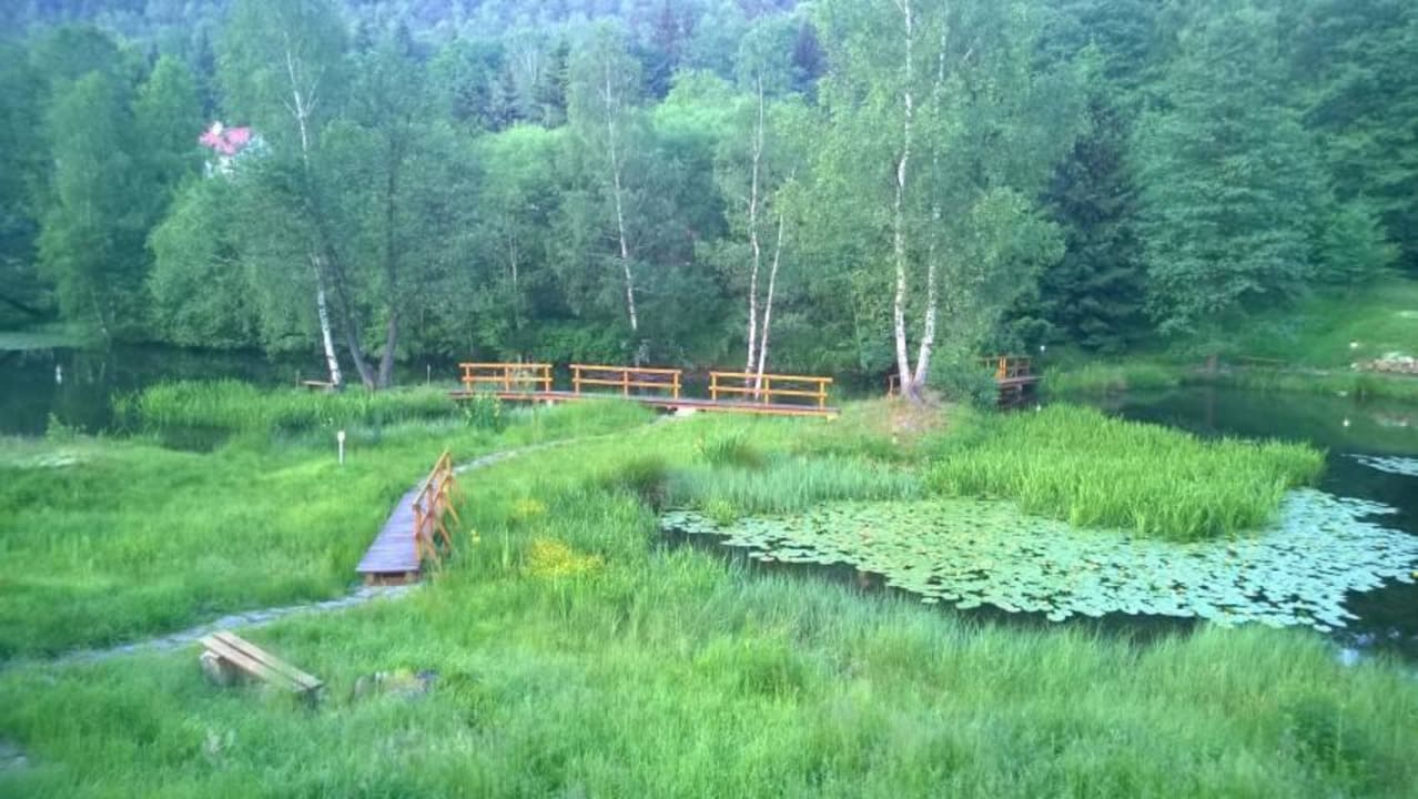 Wanderwege vor der Hoteltür Hotel Ostrov