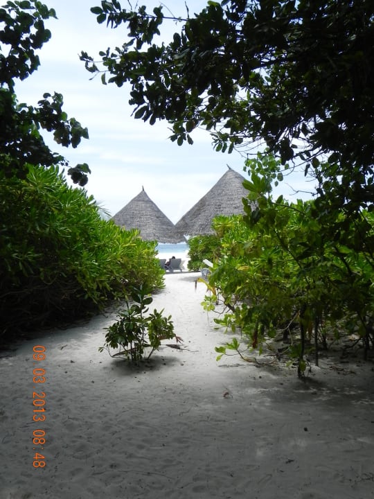 Weg zum Strand vom Zimmer her Thulhagiri Island Resort