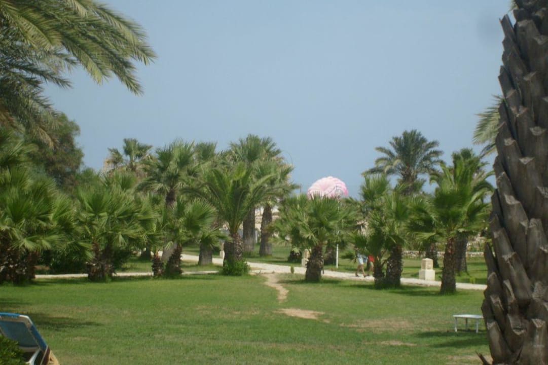 Ogród Hotel Marhaba Club