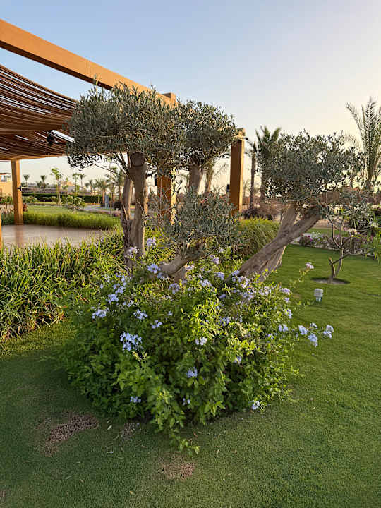 Gartenanlage JAZ Elite Riviera