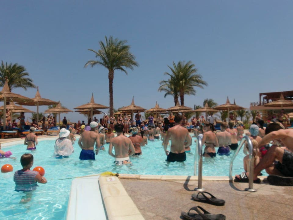 Wassergymnastik Beach Albatros Resort