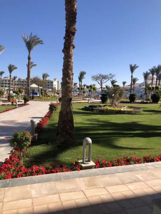 Garten Pickalbatros Dana Beach Resort - Hurghada