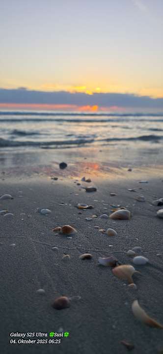 Zimmer Mahdia Beach & Aquapark