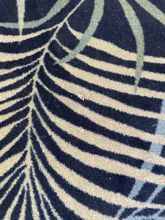 Sonstiges TUI BLUE Lindos Bay