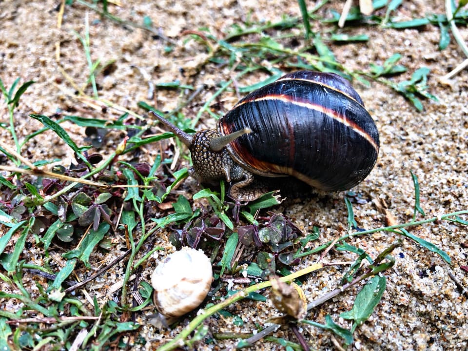 Sonstiges Sol Luna Bay