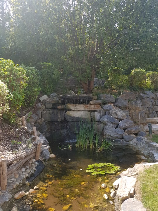 Gartenanlage Hotel Albizia