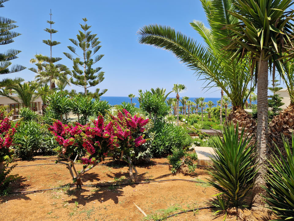 Gartenanlage Iberostar Waves Creta Panorama & Mare