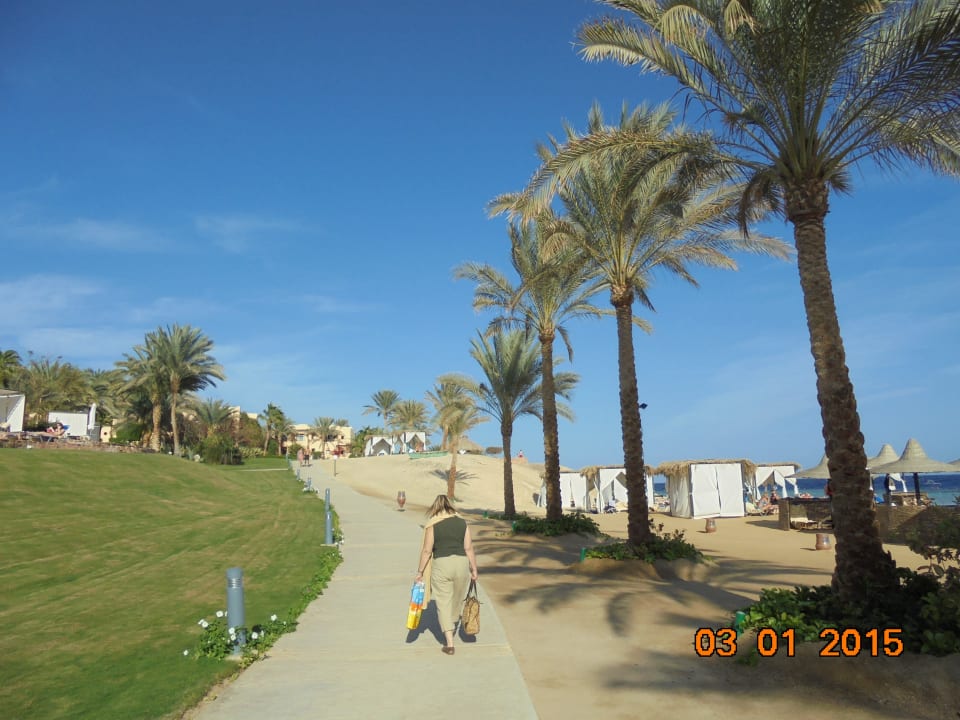 Direkt am eigenen Strand Steigenberger Coraya Beach - Adults only